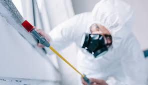 Best Pest Prevention Services  in Needville, TX